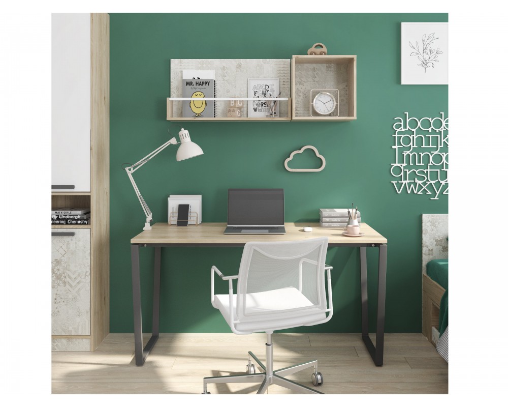 Стол письменный на металлокаркасе с тумбой Алиса Стол письменный на металлокаркасе с тумбой Алиса-2